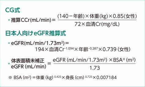 eGFR計算式