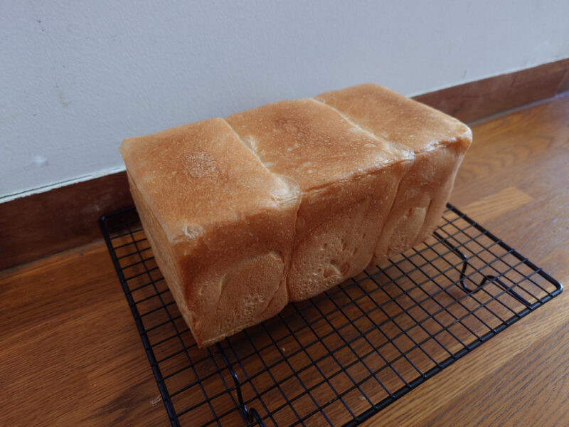焼成3